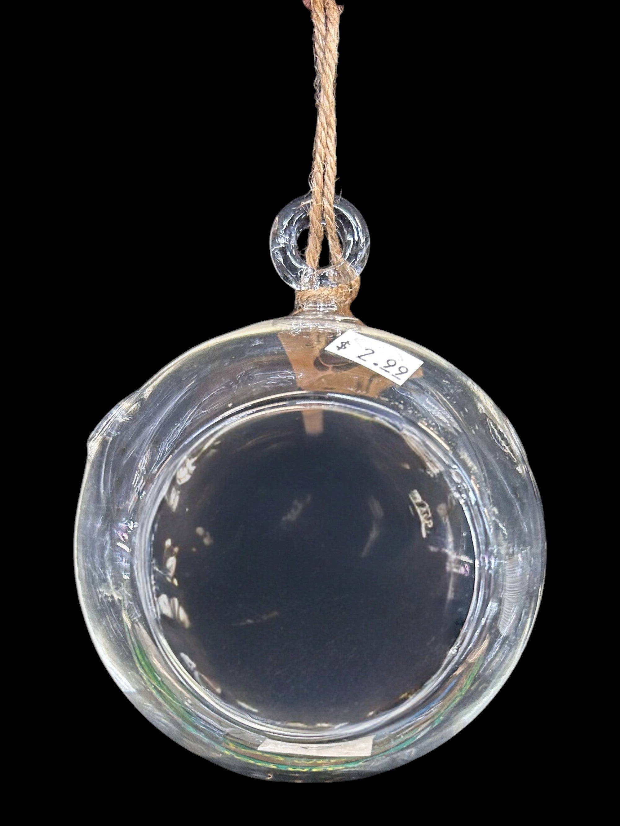 Syndicate glass hanging pot
