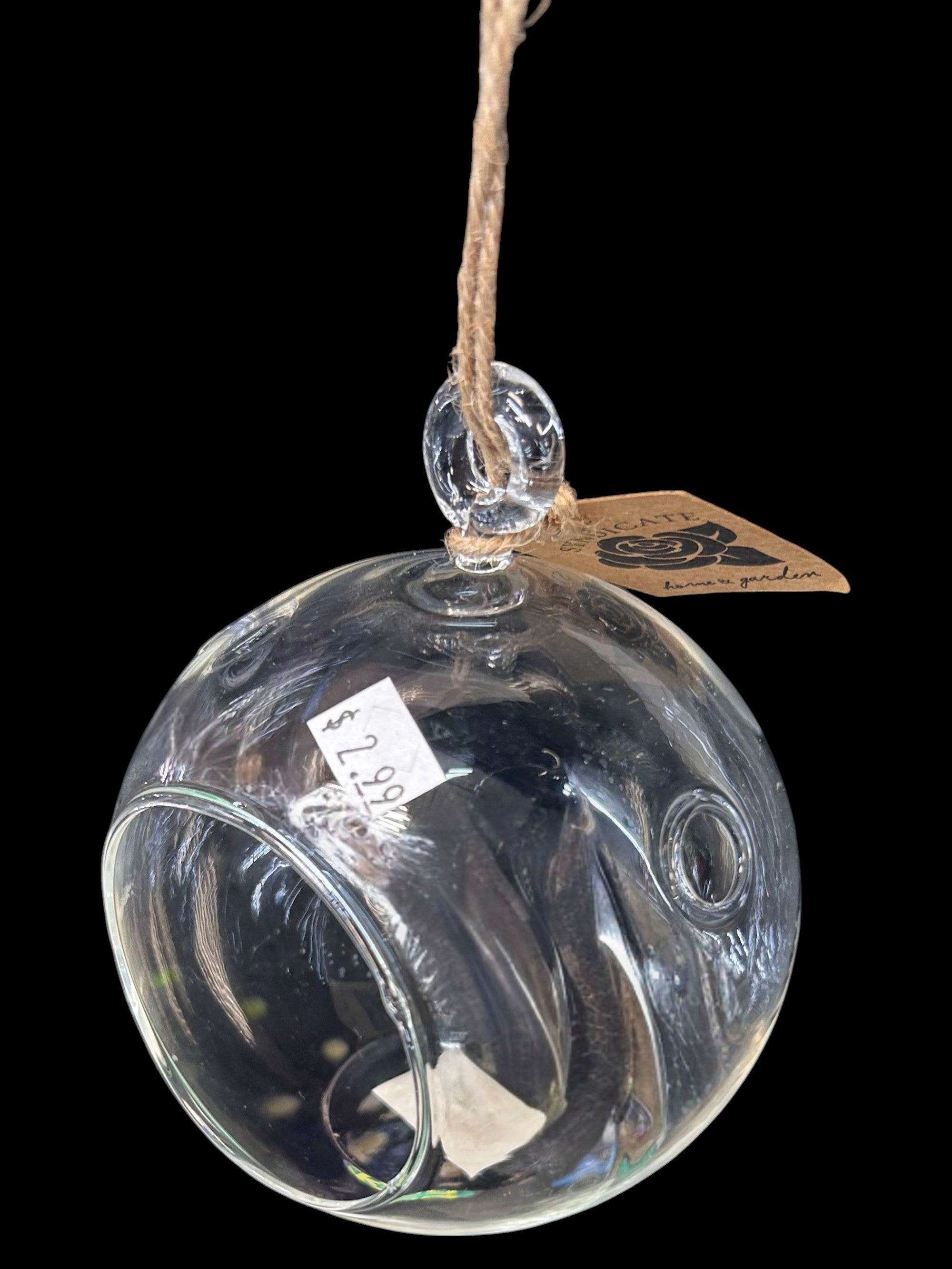 Syndicate glass hanging pot