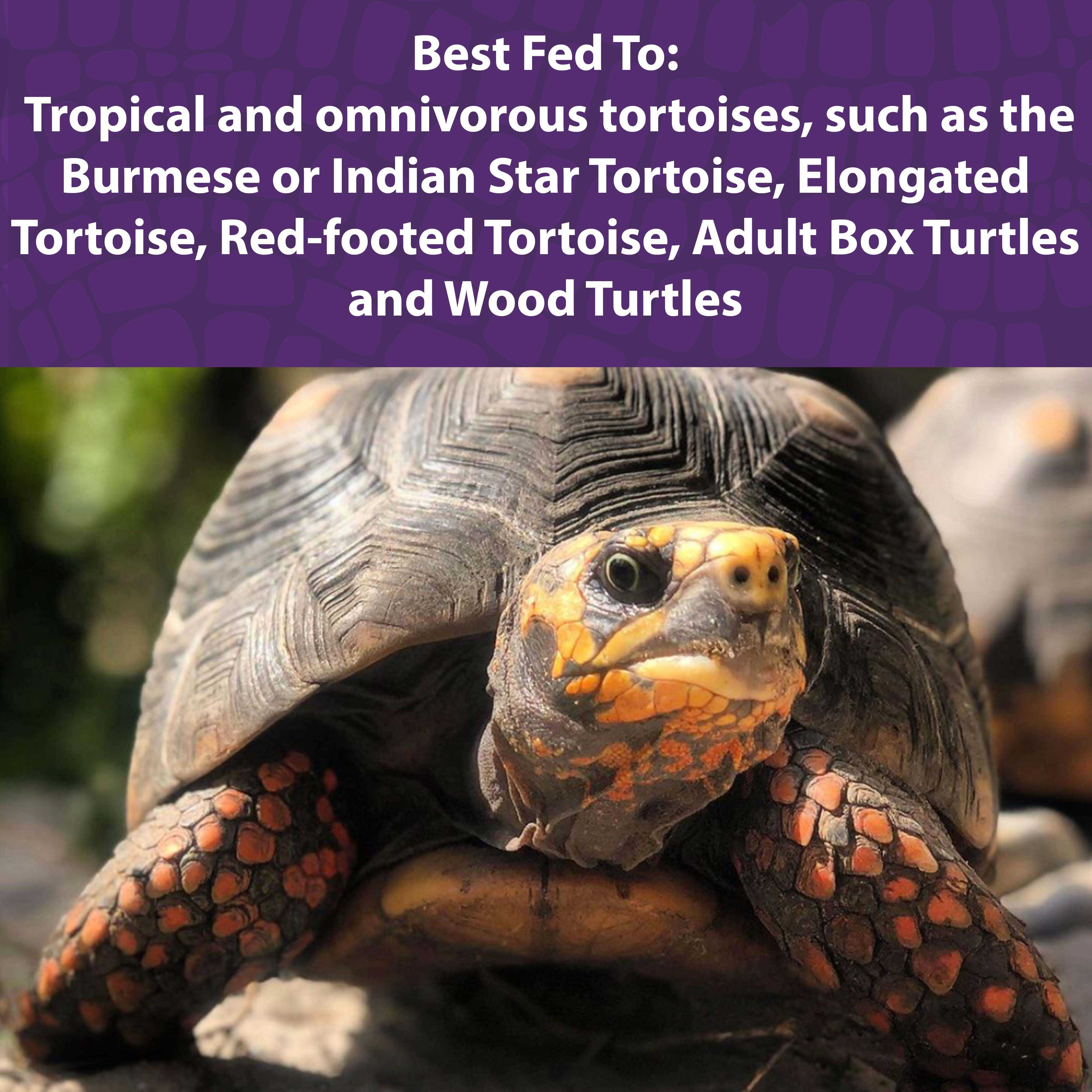 Mazuri Tortoise Diet