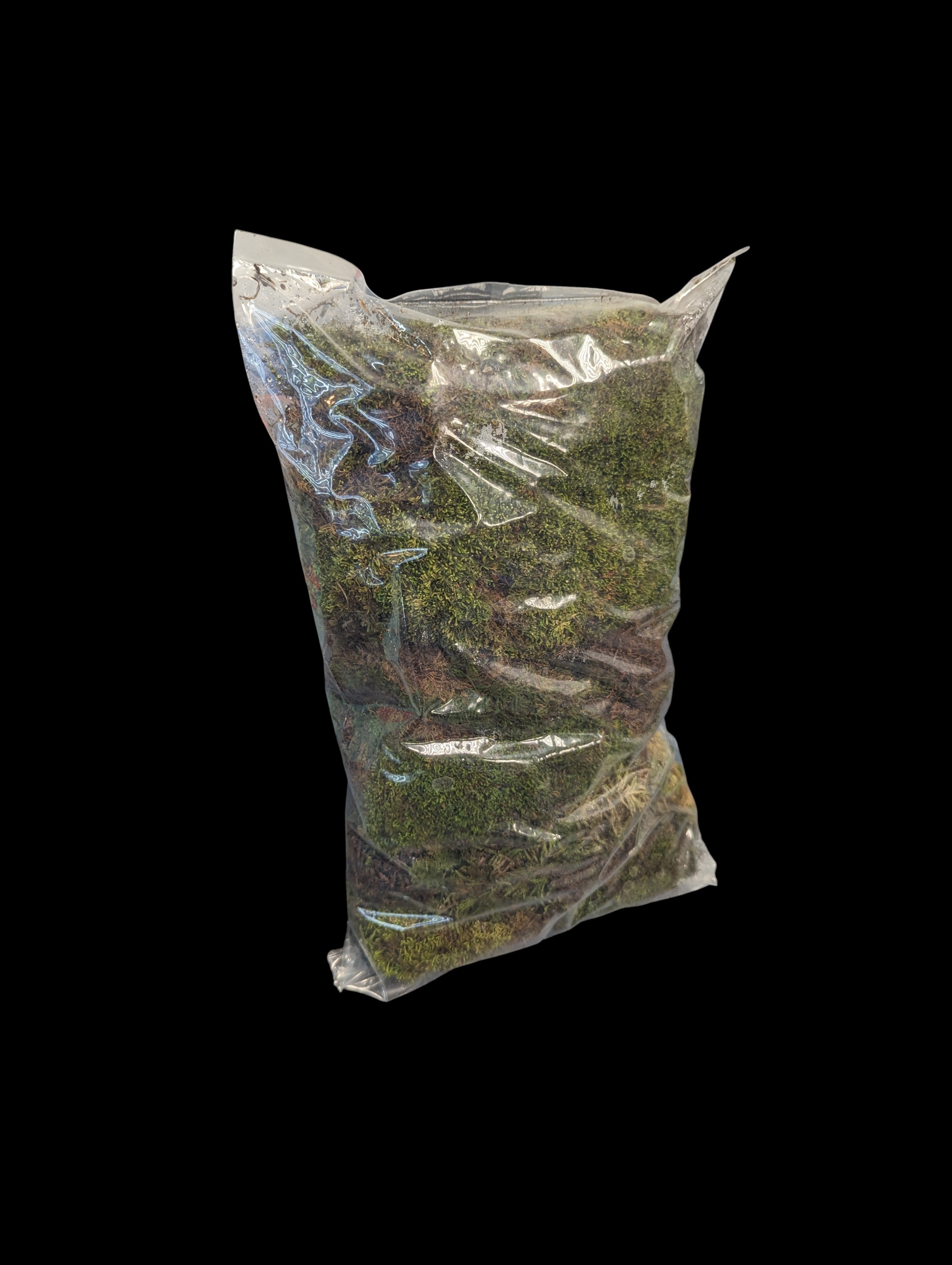Live Moss Bag