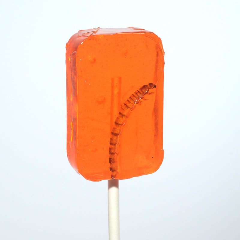 Hotlix Mealworm Lollipops (For Humans)