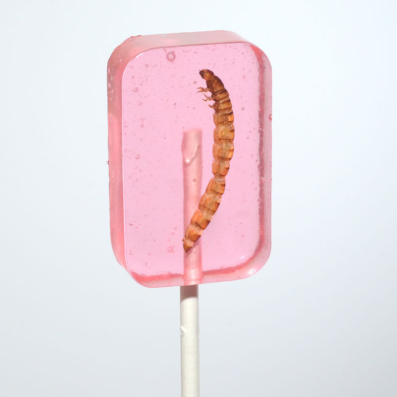 Hotlix Mealworm Lollipops (For Humans)