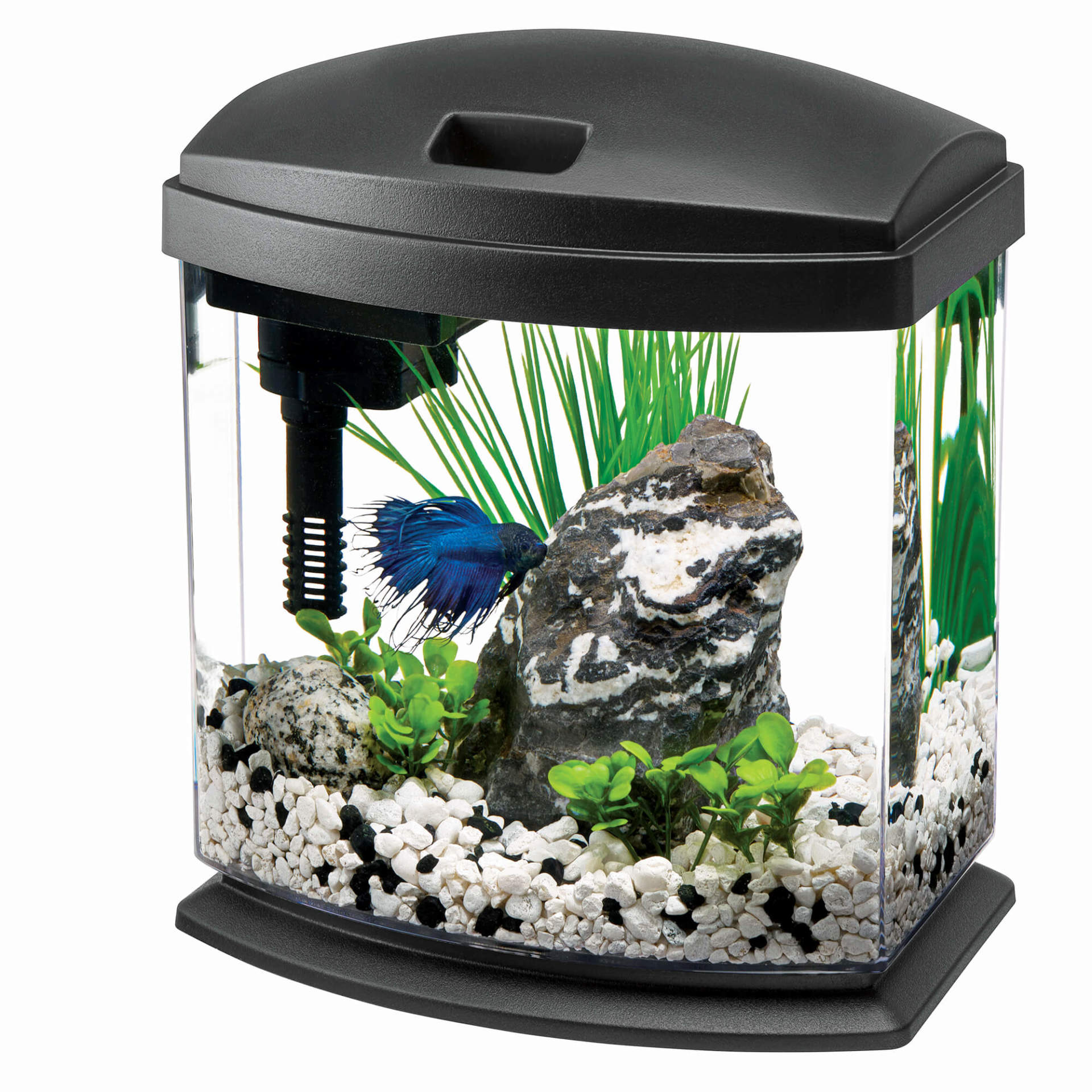 Aqueon 2.5 gallon tank best sale