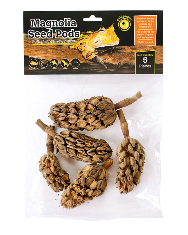 Galapagos Seed Pods