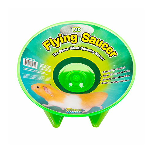 Ware Flying Saucer