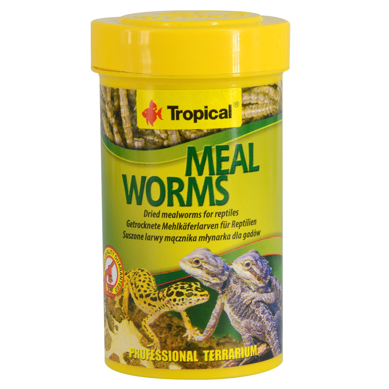 Tropical Dried Meal Worms