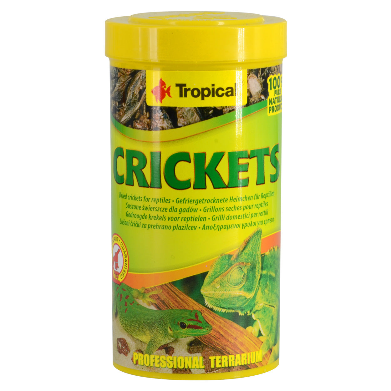 Tropical Dried Crickets