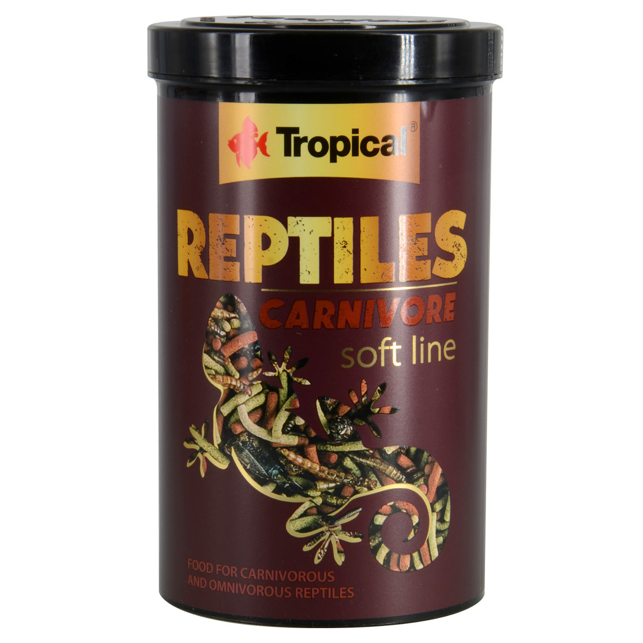 Tropical Softline Reptile Carnivore