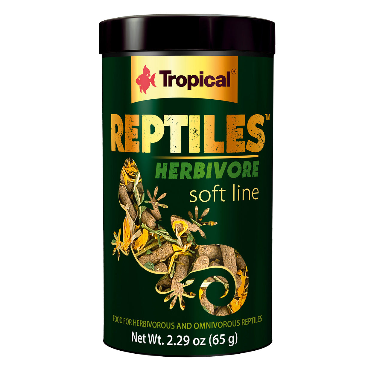Tropical Reptiles Herbivore Soft Line