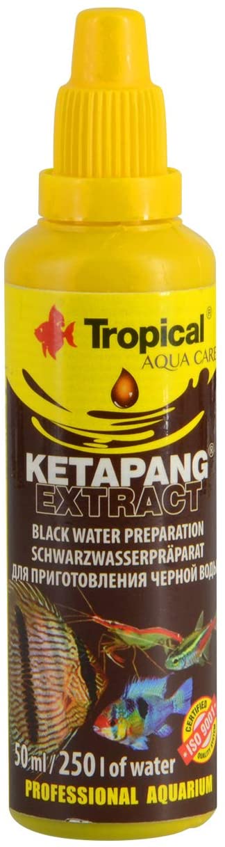Tropical Ketapang Extract - Black Water Preparation