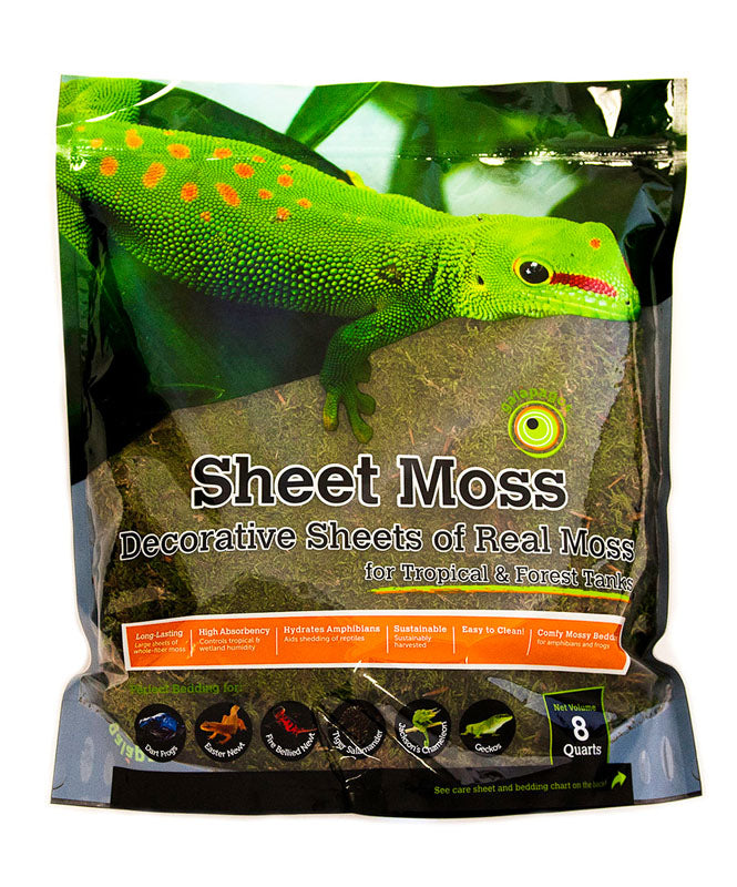 Galapagos Sheet Moss