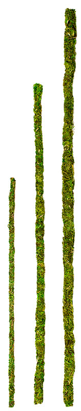 Mossy Sticks