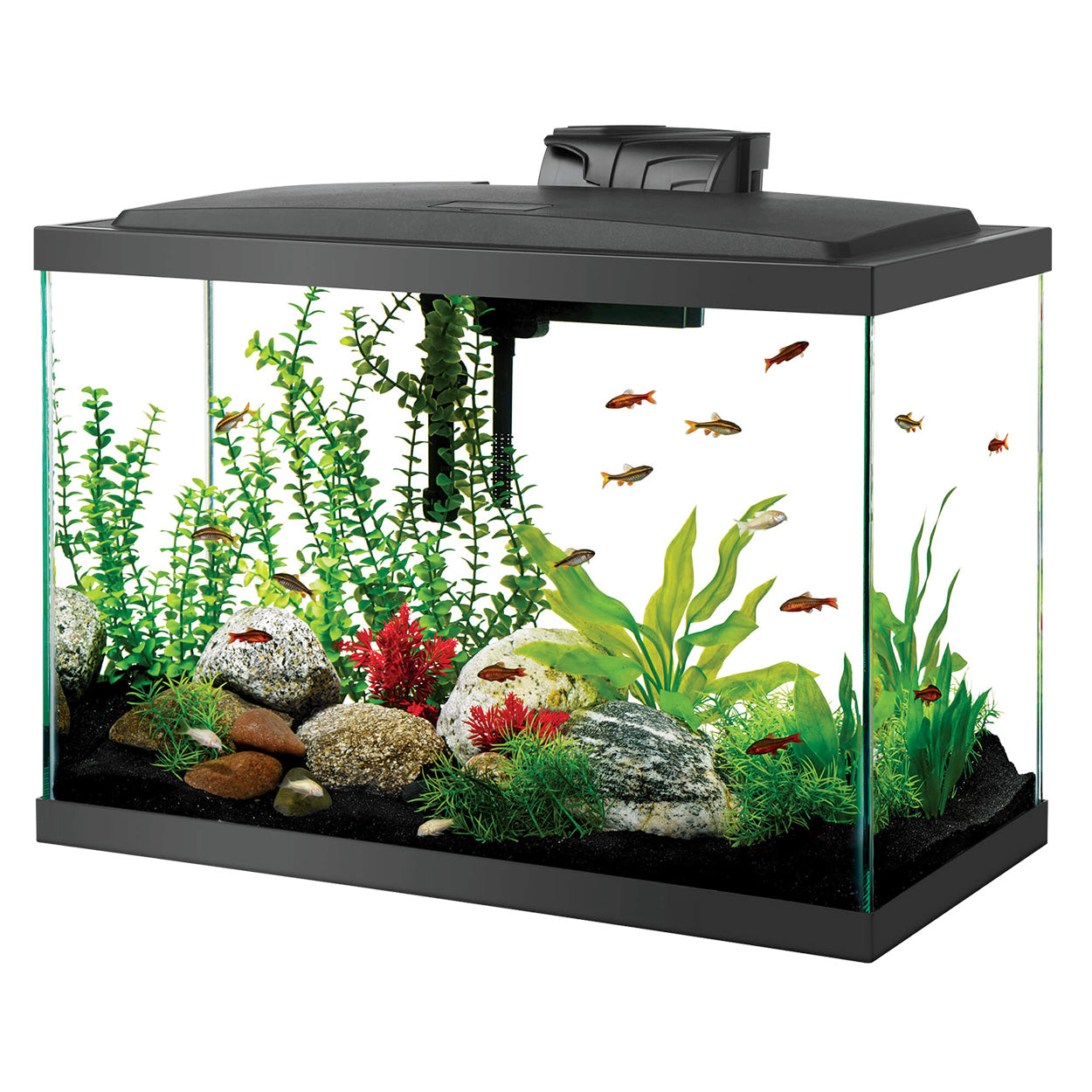 Aquarium Product -> Aquariums & Furniture -> Aquarium Kits