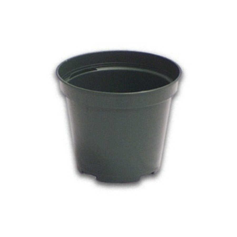 Standard Green Plastic Pot