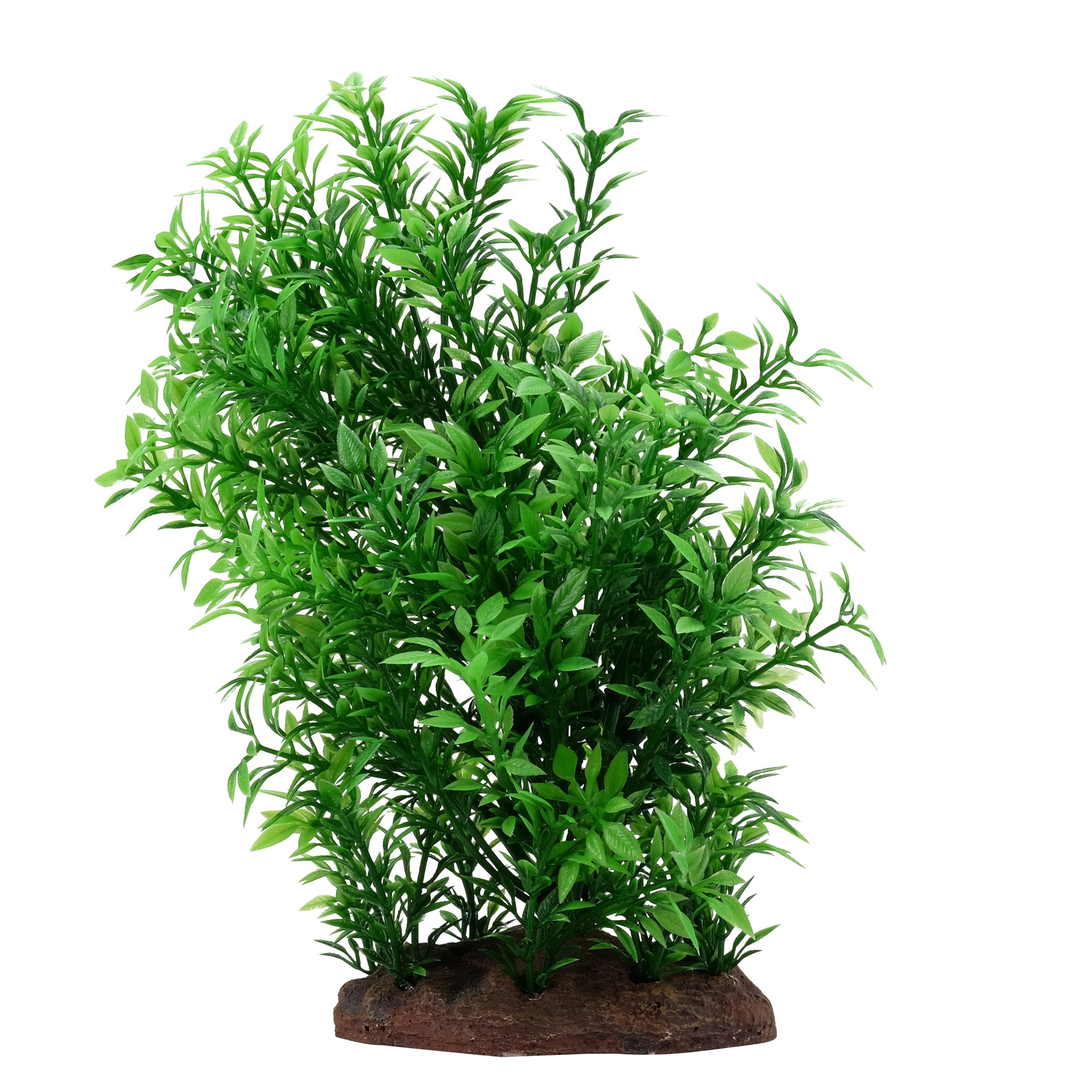 Fluval Plantscapes Small Helxine