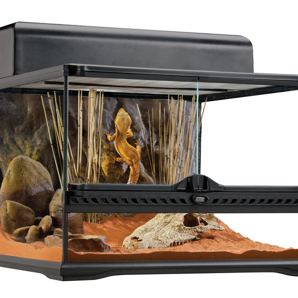 Exo Terra Low Glass Terrarium (3 Sizes)