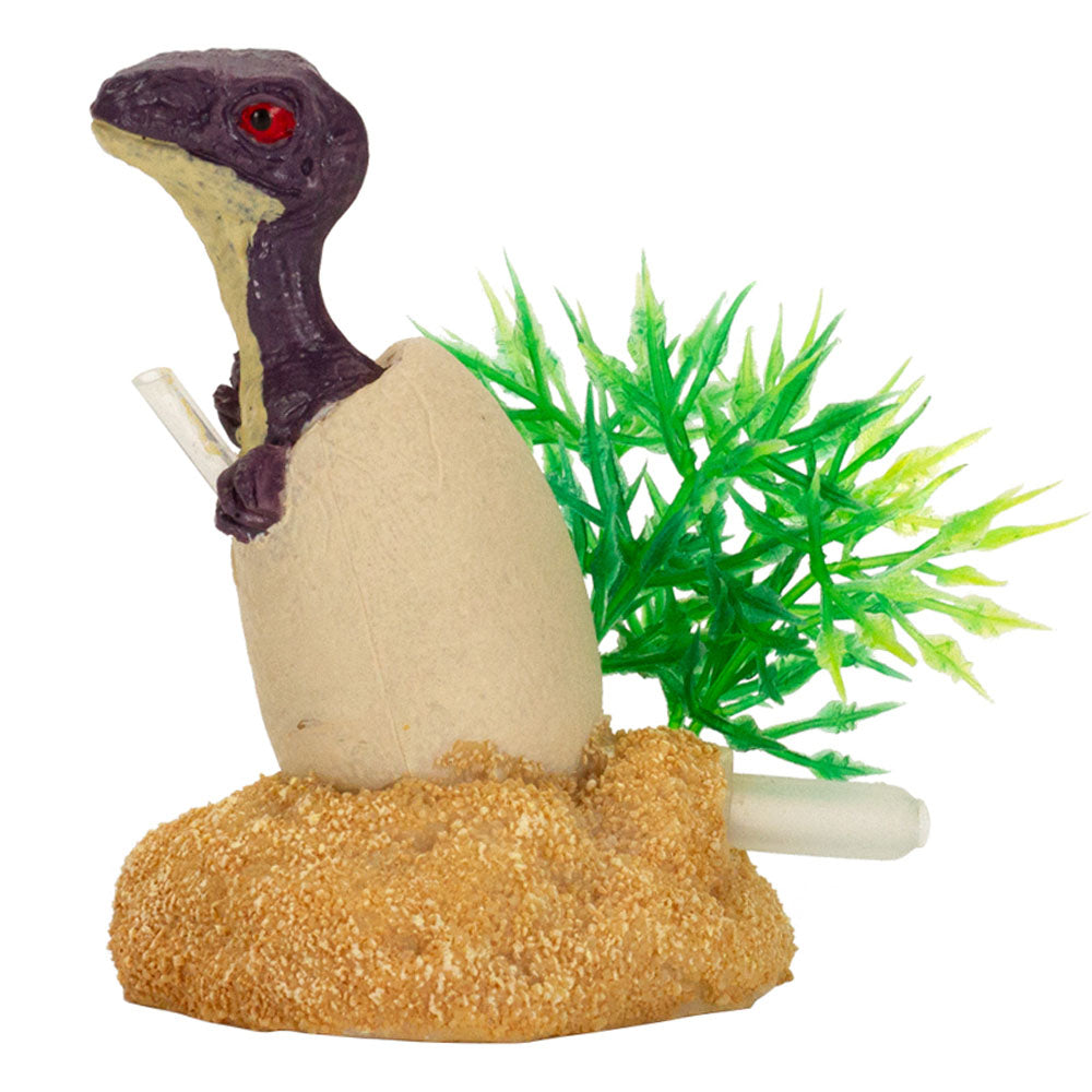 Aquafit Velociraptor Dino Egg