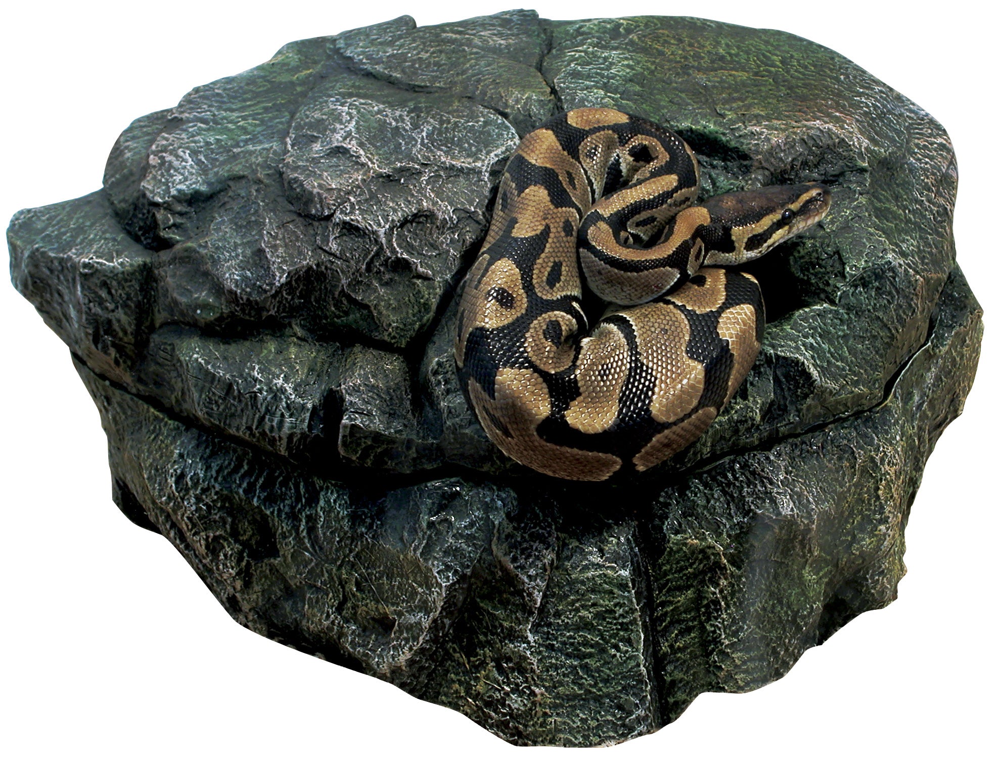 Zoo med sales ball python kit