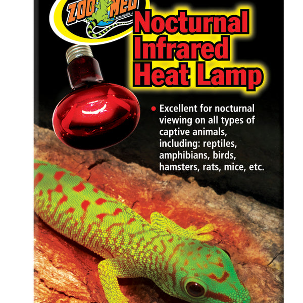 Nocturnal infrared heat lamp bearded dragon store