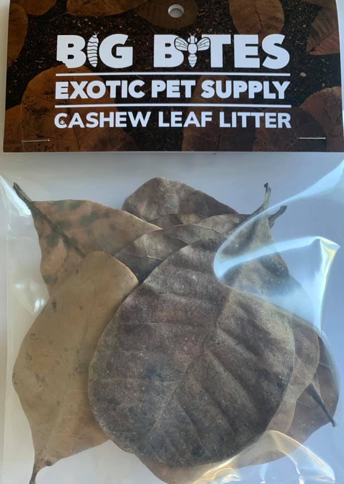 Big Bites Cashew Leaf Litter