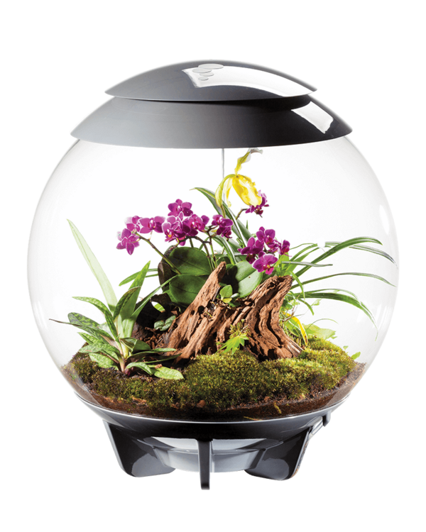 Oase Bio Orb Air 60