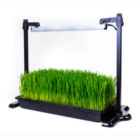 SunBlaster Mini Greenhouse Kit w 18" LED with stand