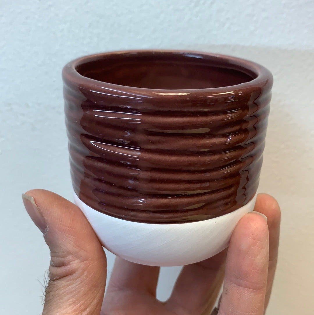 Summer 2.5" Assorted Ceramic