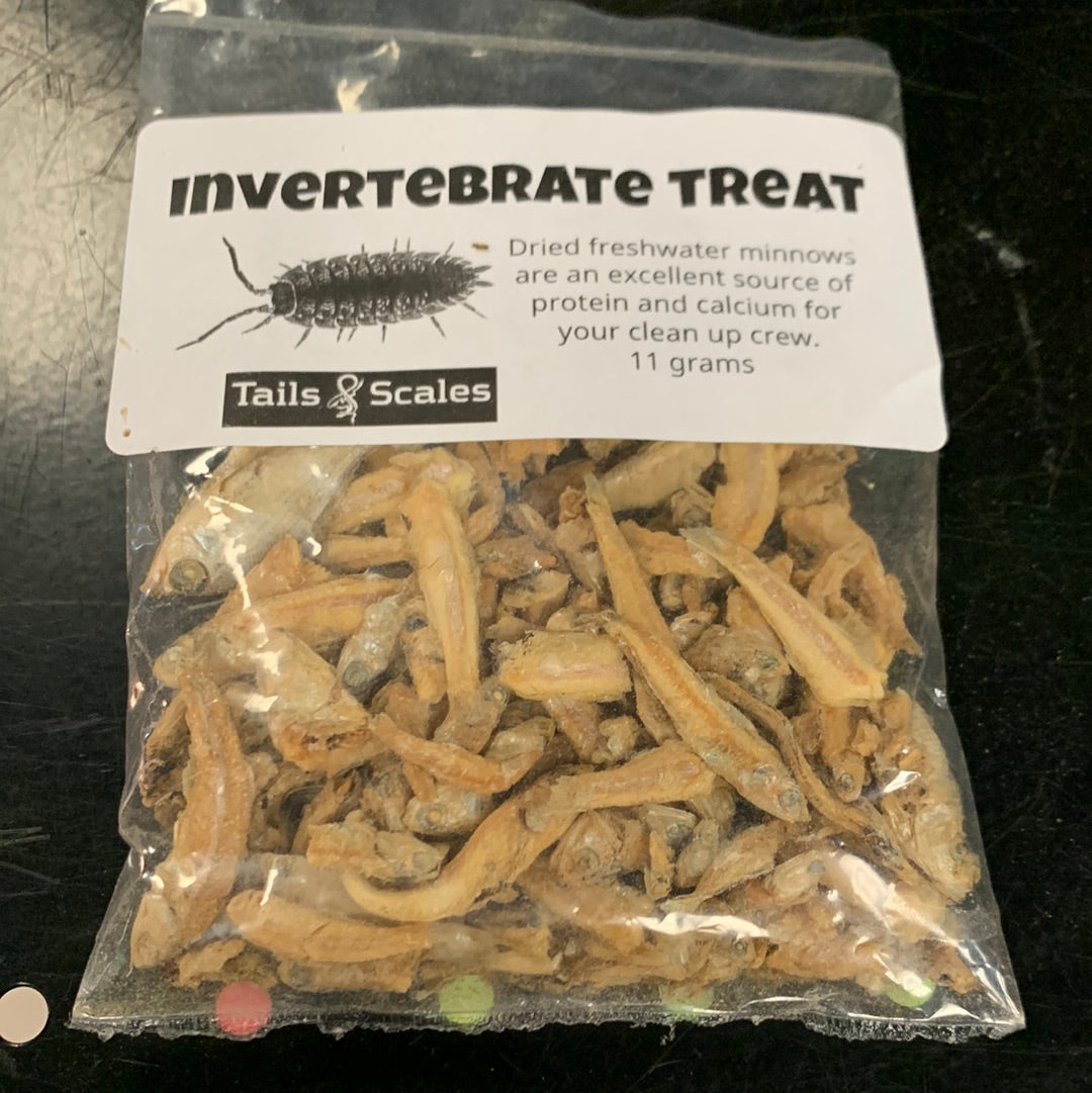 Invertebrate Treat