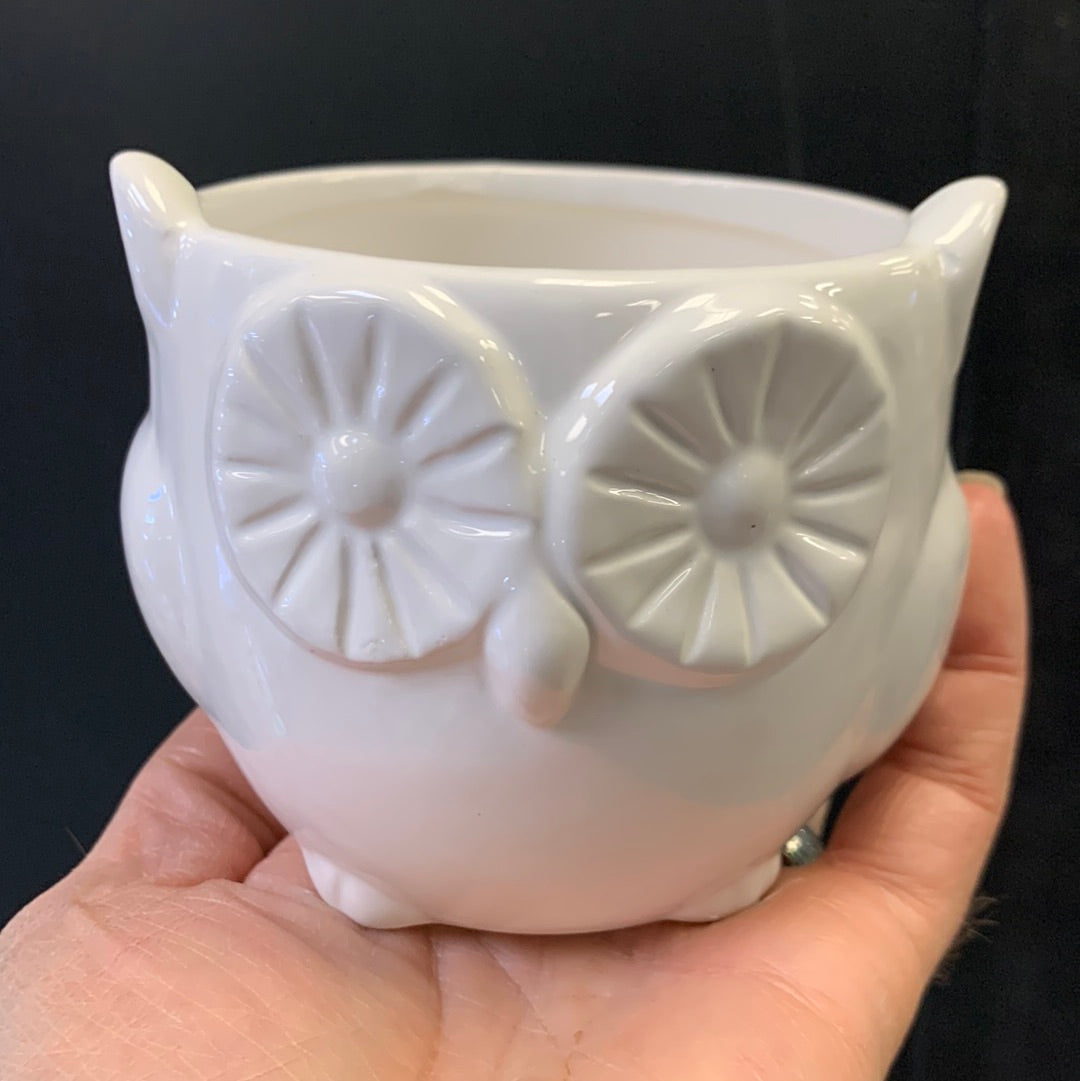 Small Owl Pot