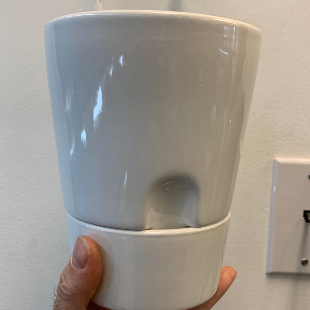 Ceramic Pot Ron 5"