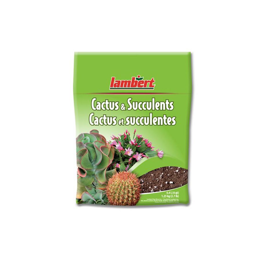 Lambert Cactus & Succulent Soil