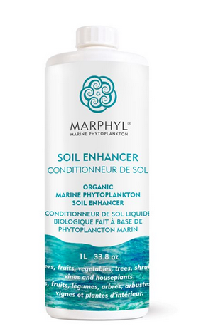 Marphyl Marine Phytoplankton Liquid Soil Enhancer