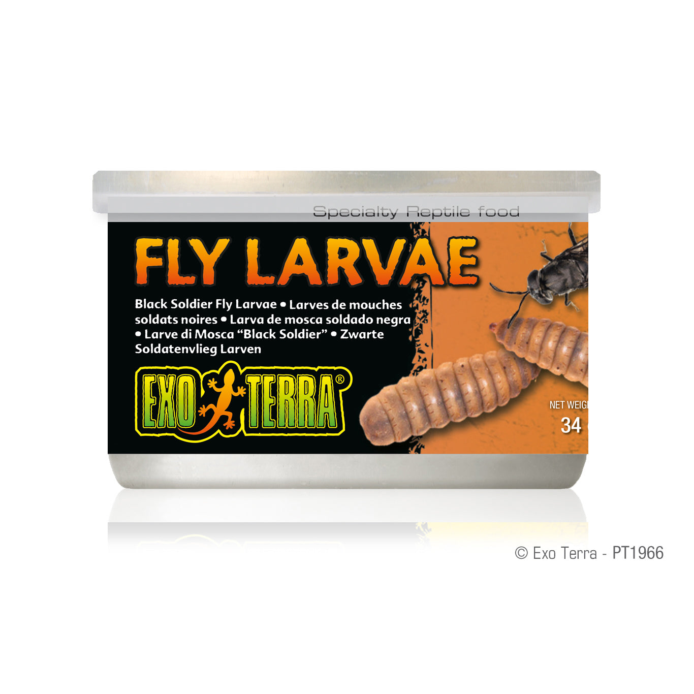 Exo Terra Canned Black Solider Fly Larvae