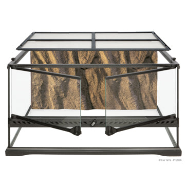 Exo Terra Low Glass Terrarium (3 Sizes)