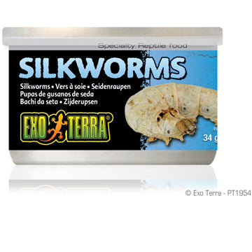 Exo Terra Silkworms (Pupae)