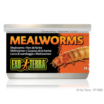 Exo Terra Mealworms