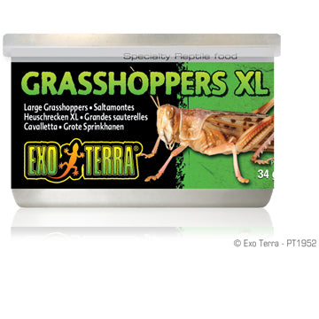 Exo Terra Canned Grasshoppers - XL